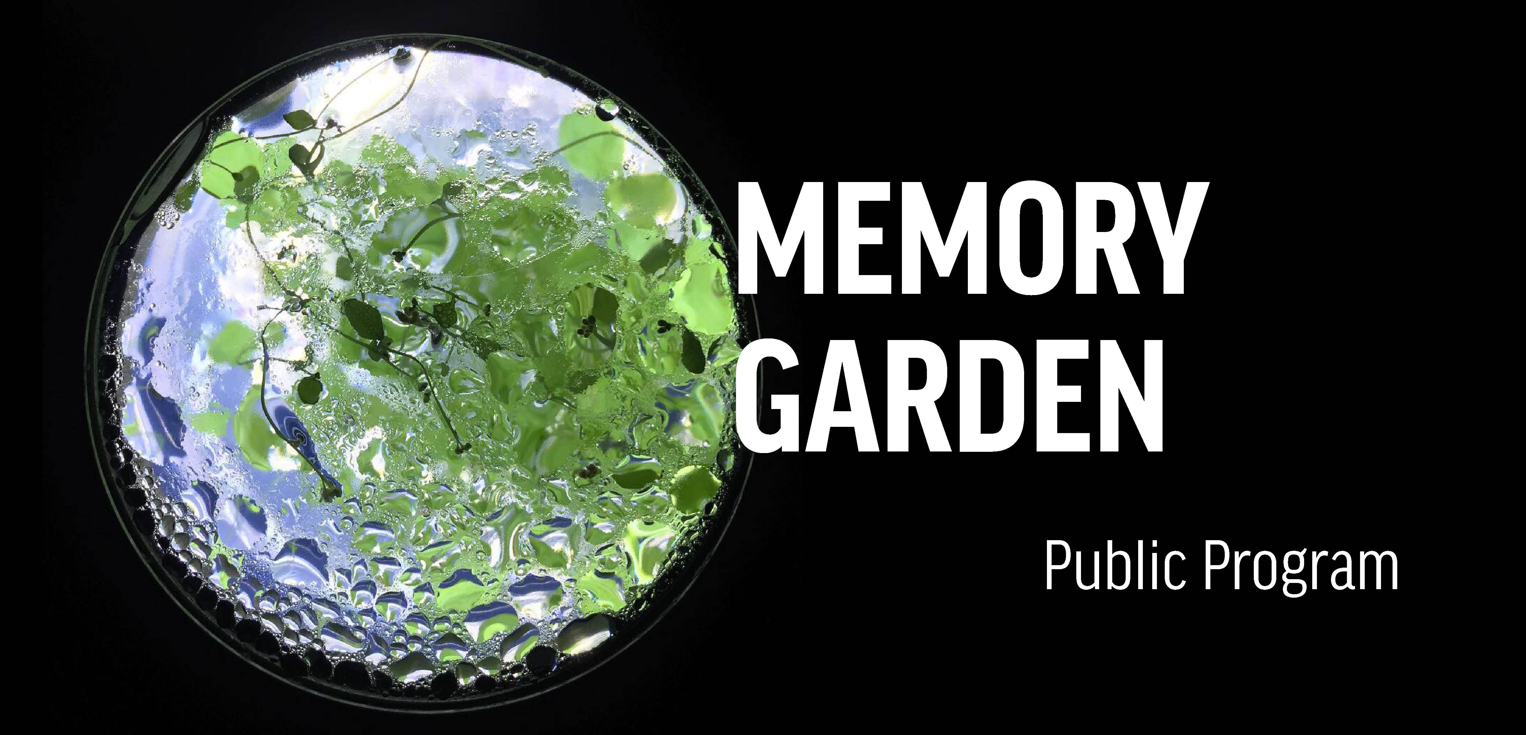 Публічна програма до виставки  Сад пам’яті